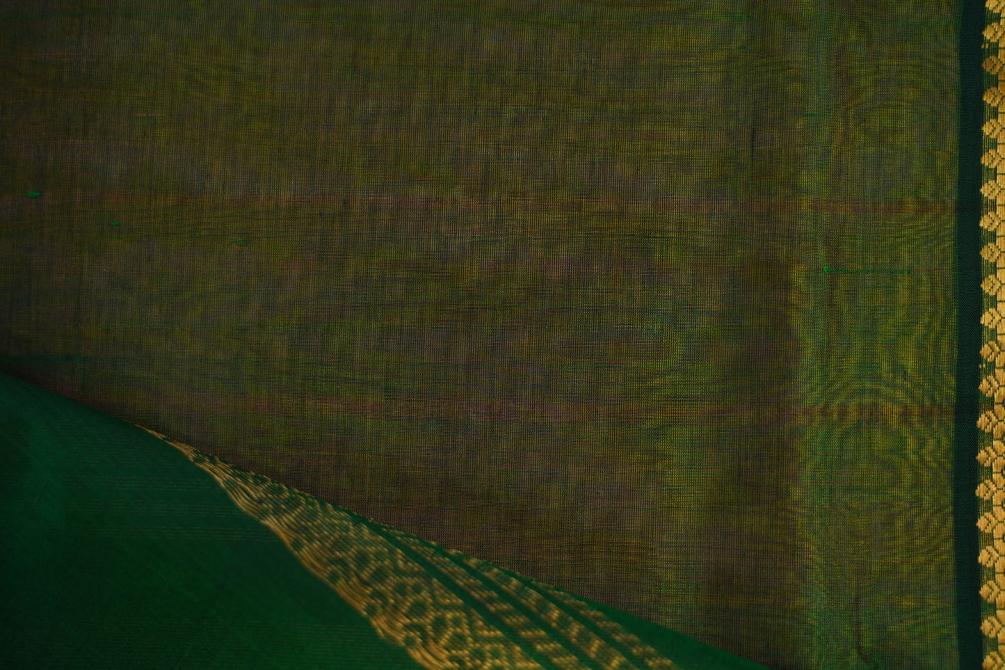Kanchi Handloom Silk Cotton Saree PC14491