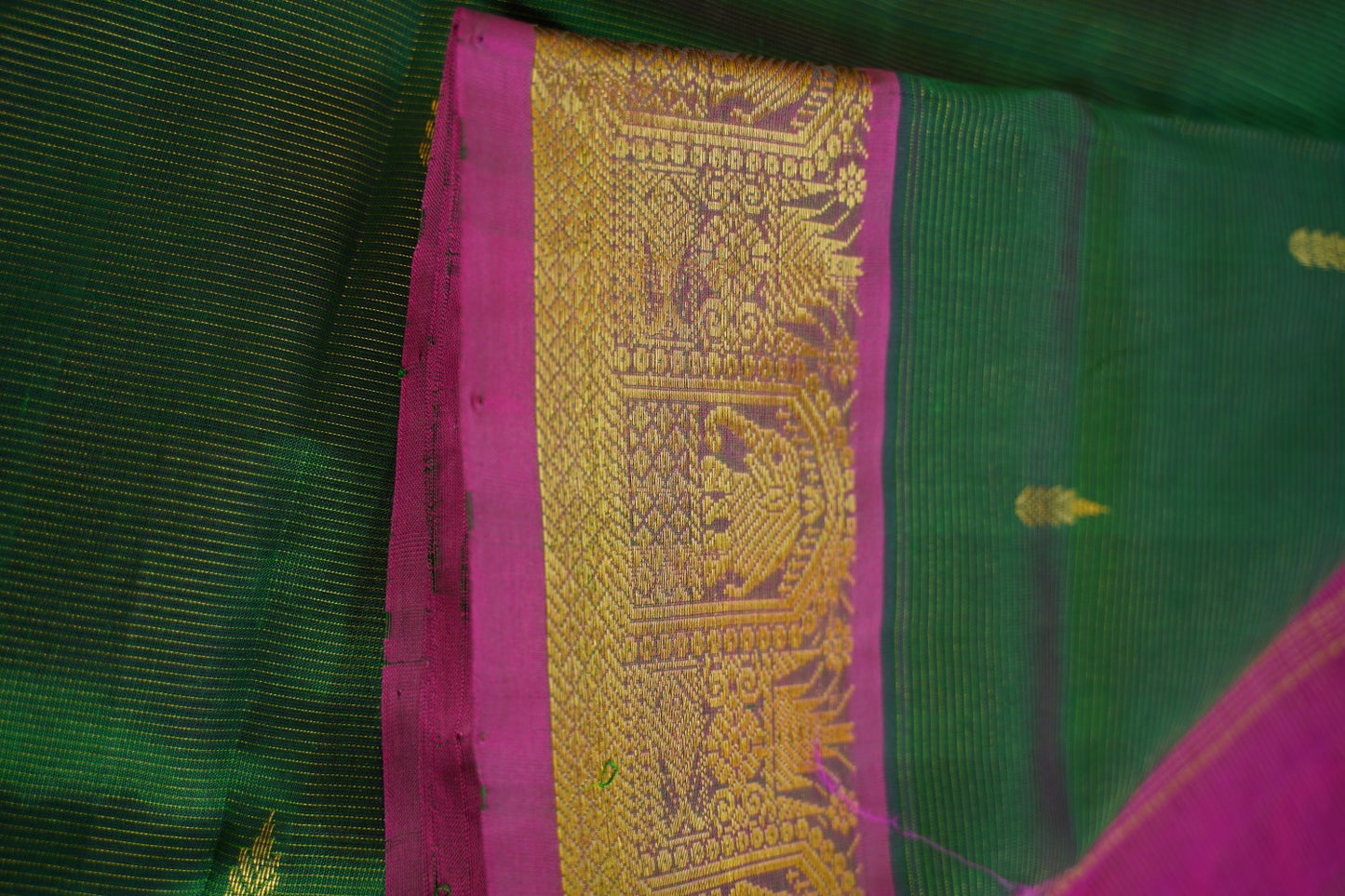 10 Yards Kanchi Handloom Silk Cotton Saree PC14519