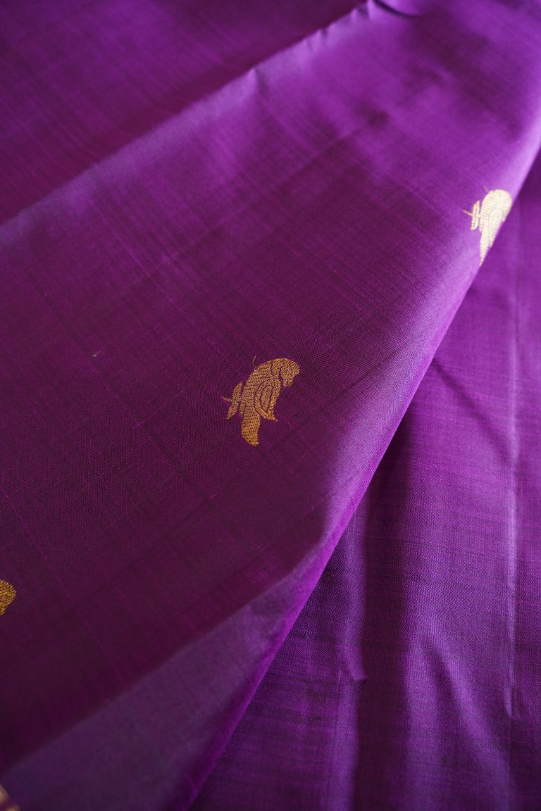 Pure Kanchi Silk Saree PC13811