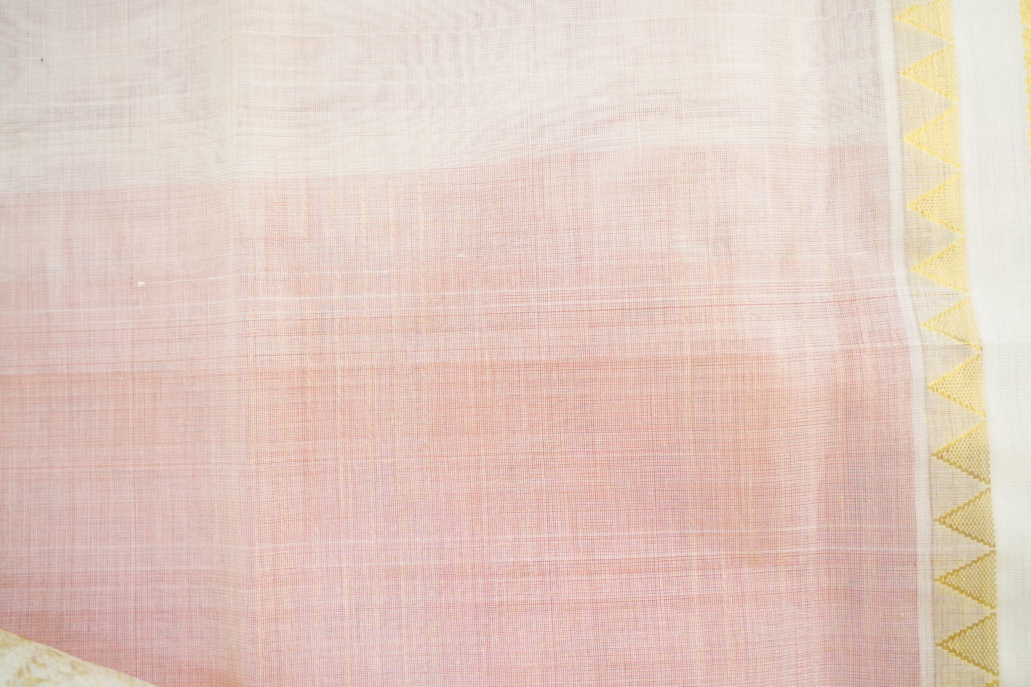 Kanchi Handloom Silk Cotton Saree PC1451