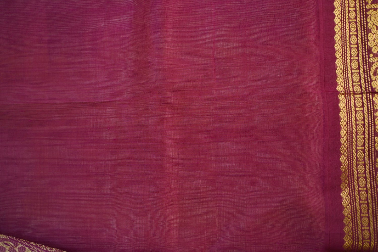 Kanchi Handloom Silk Cotton Saree PC14583