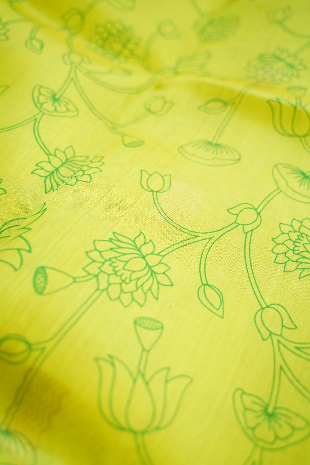 Kanchi Handloom Silk Cotton Saree PC14579