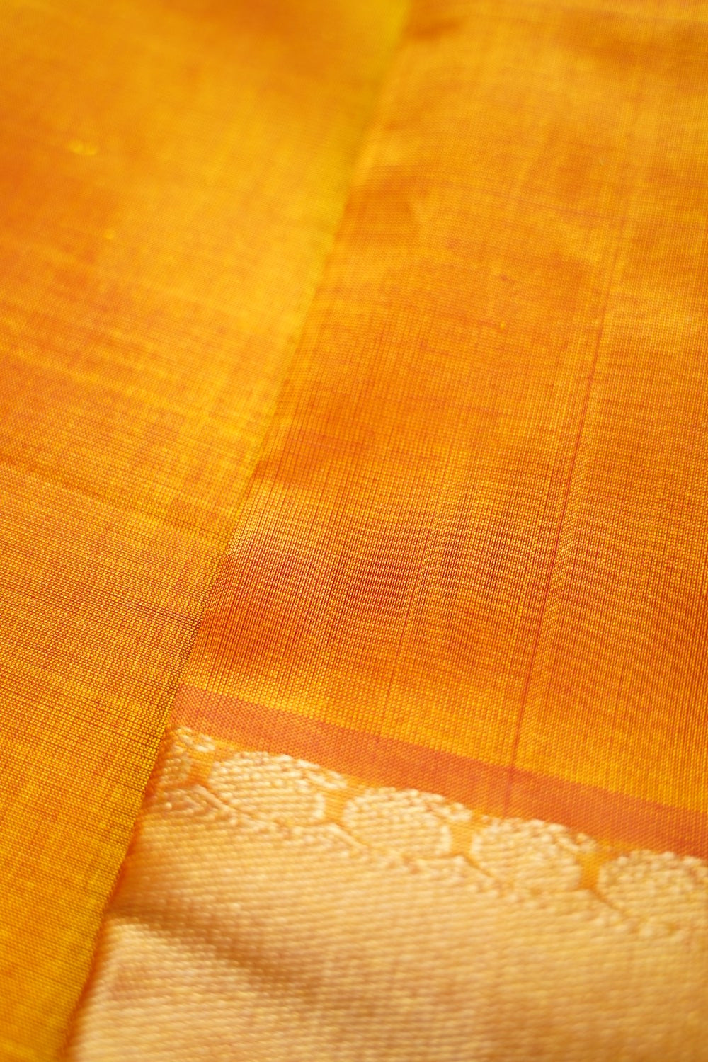 Kanchi Handloom Silk Cotton Saree PC14595