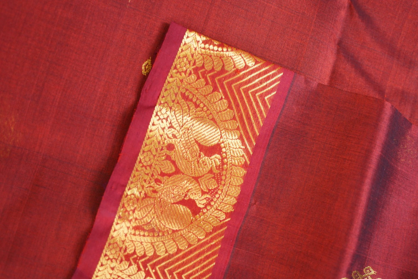 Kanchi Handloom Silk Cotton Saree PC14642