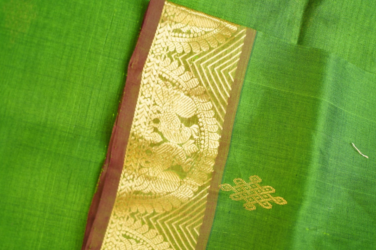 Kanchi Handloom Silk Cotton Saree PC14641