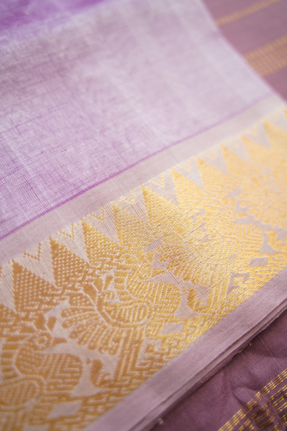 Kanchi Silk Cotton Saree PC18448