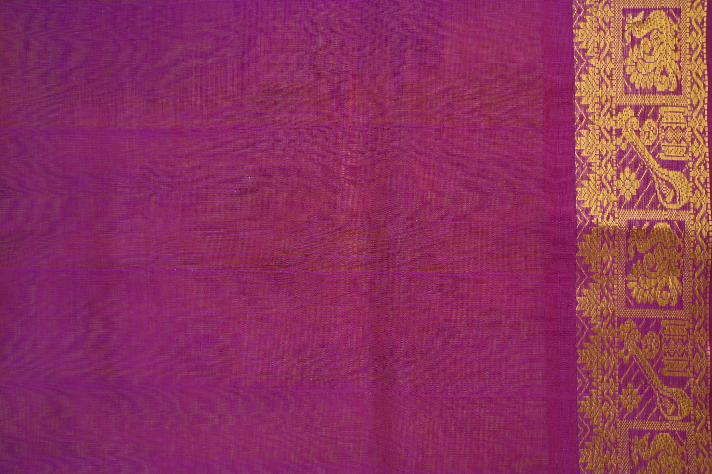 Kanchi Handloom Silk Cotton Saree PC14756