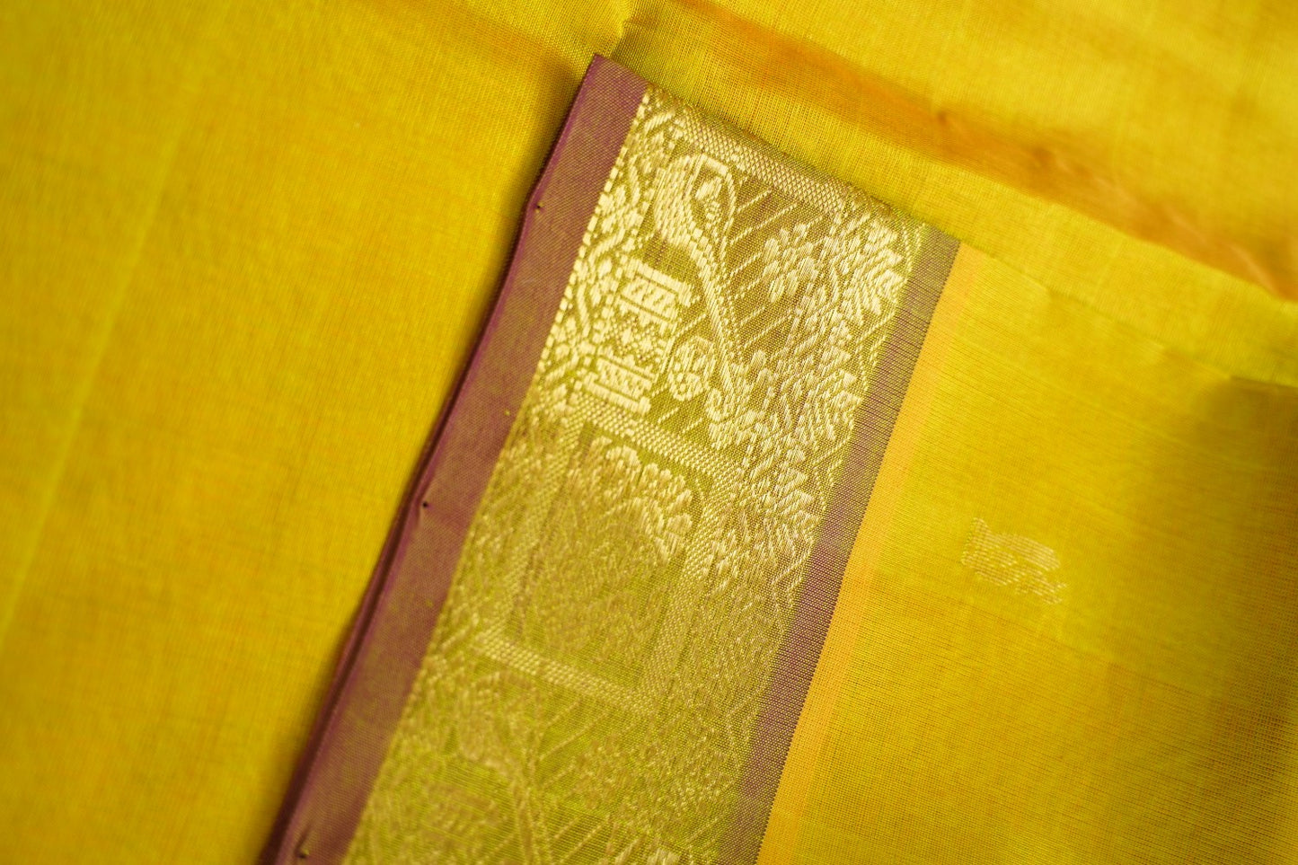 Kanchi Handloom Silk Cotton Saree PC14756