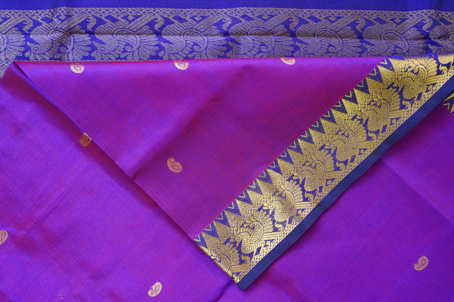 Kanchi Handloom Silk Cotton Saree PC14755