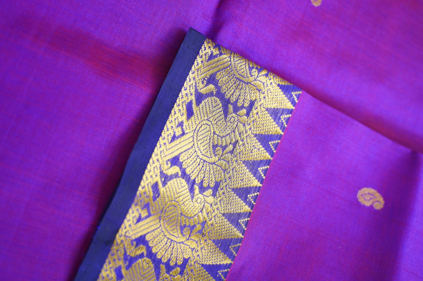 Kanchi Handloom Silk Cotton Saree PC14755