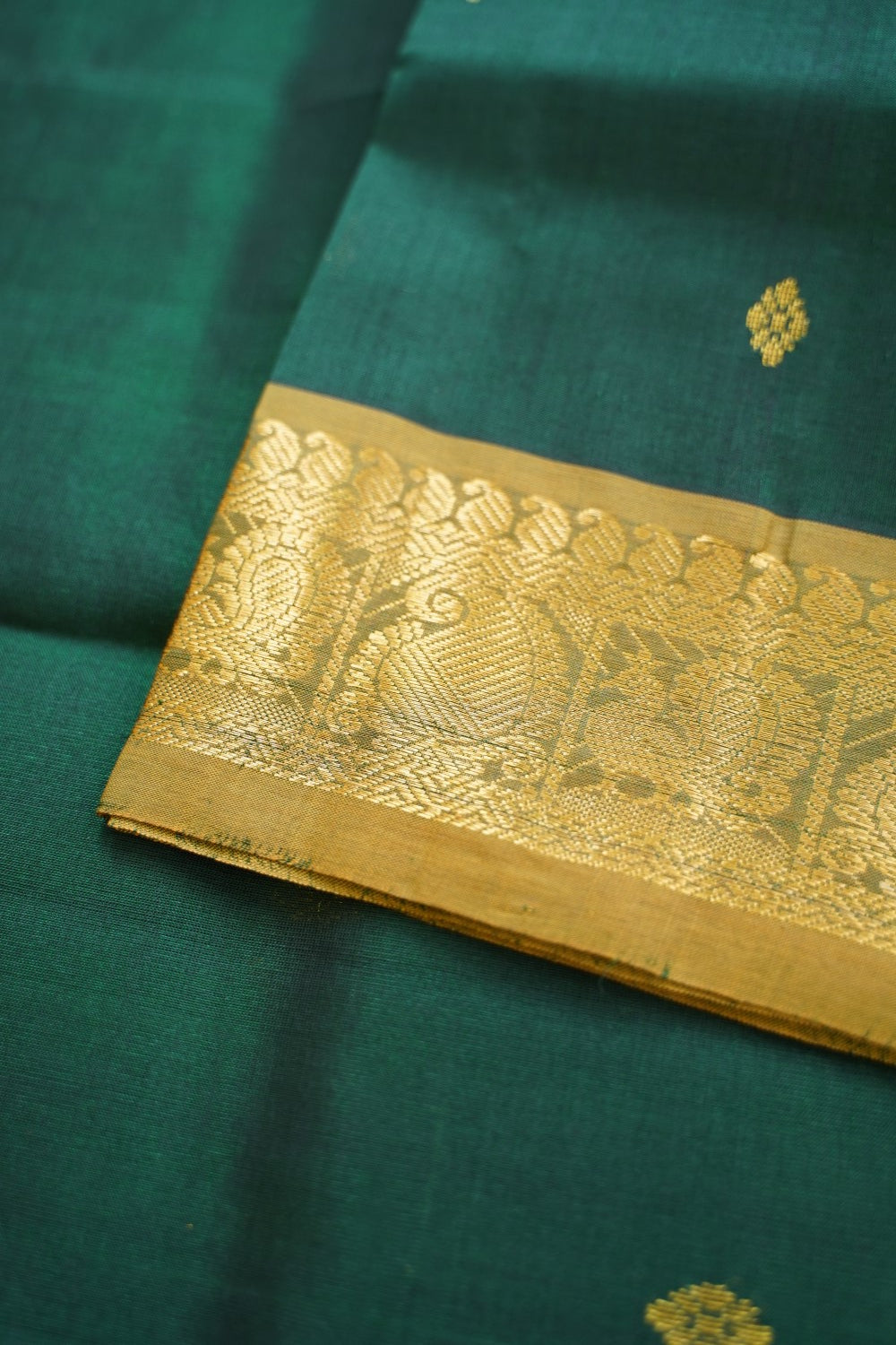 Kanchi Handloom Silk Cotton Saree PC14751