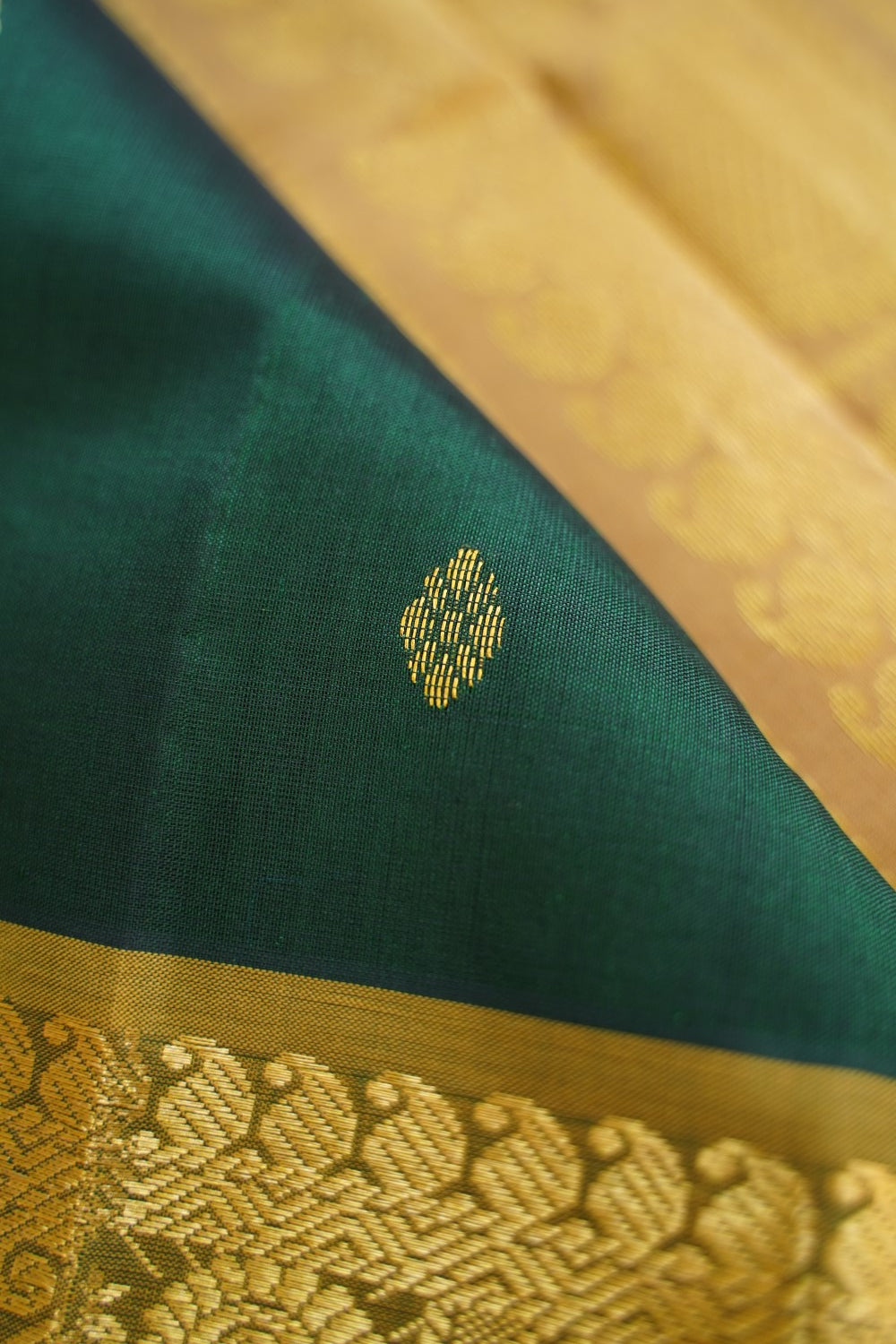 Kanchi Handloom Silk Cotton Saree PC14751