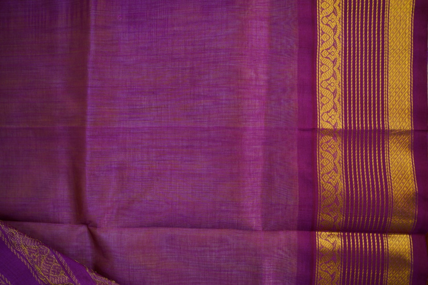 Kanchi Handloom Silk Cotton Saree PC14903