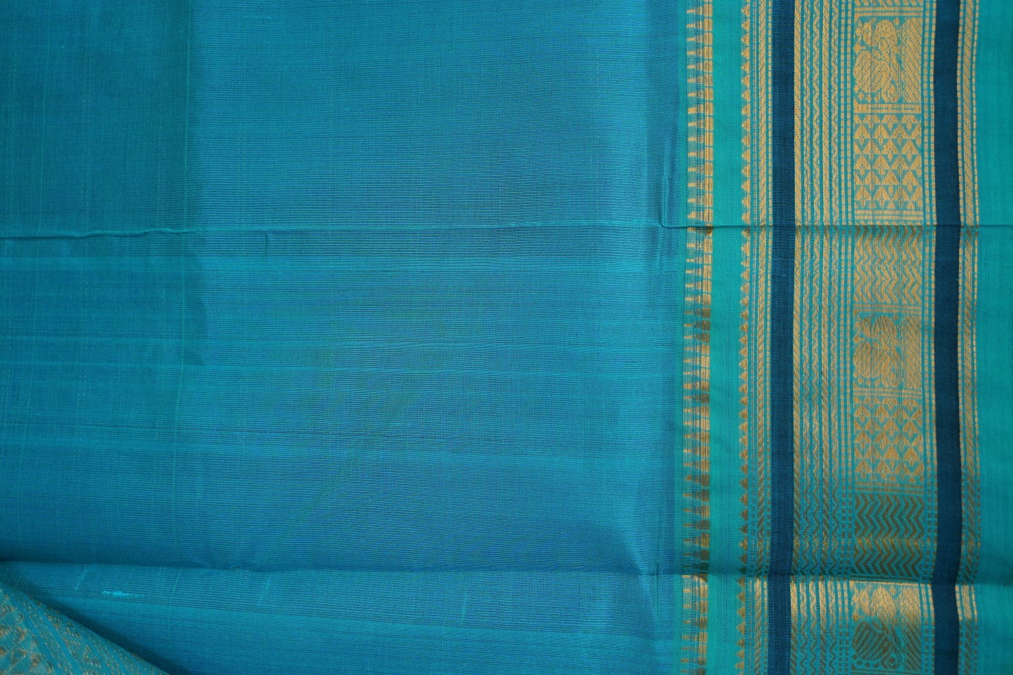 Kanchi Handloom Silk Cotton Saree PC14912