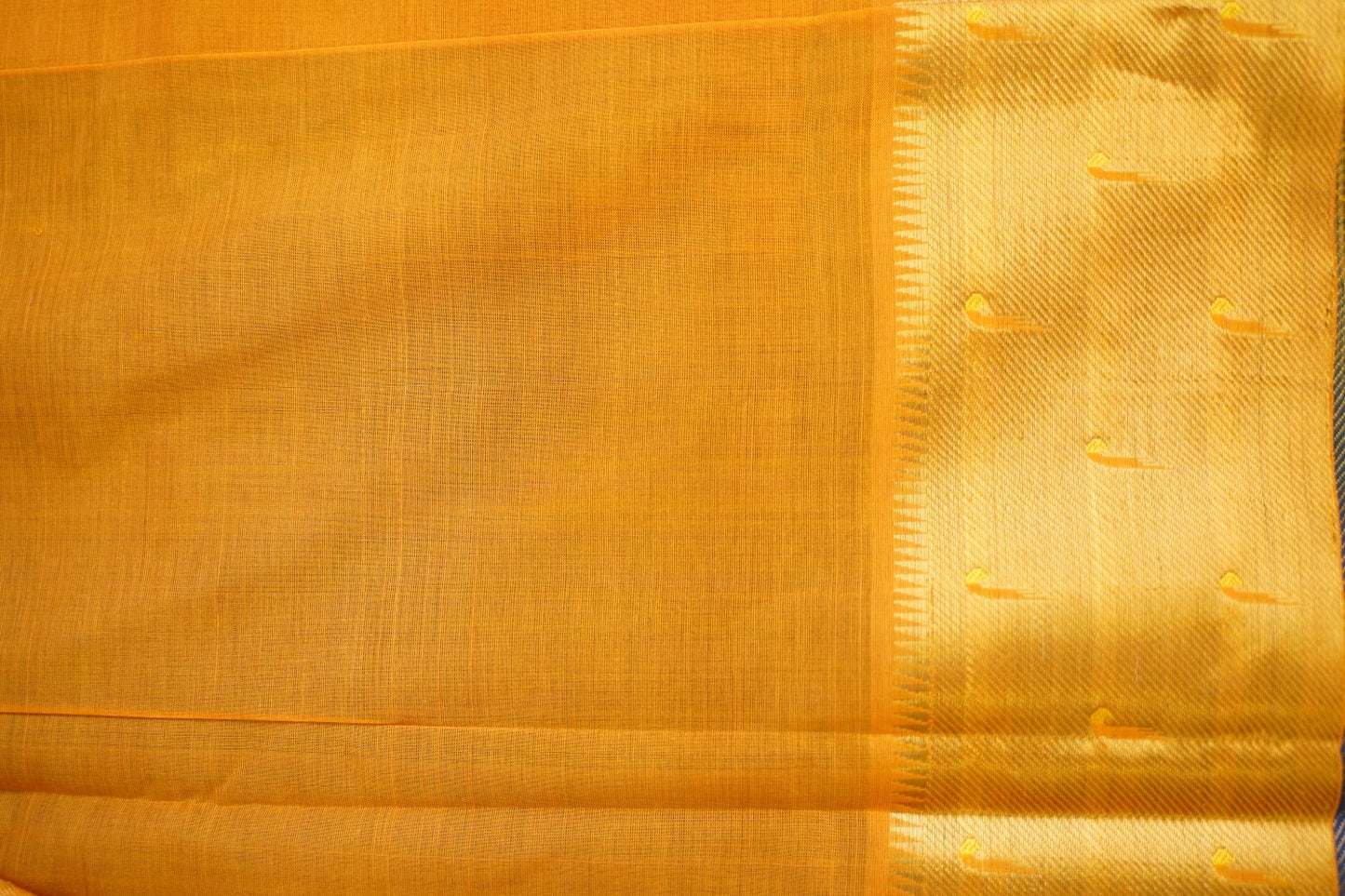 Kanchi Handloom Silk Cotton Saree PC15059