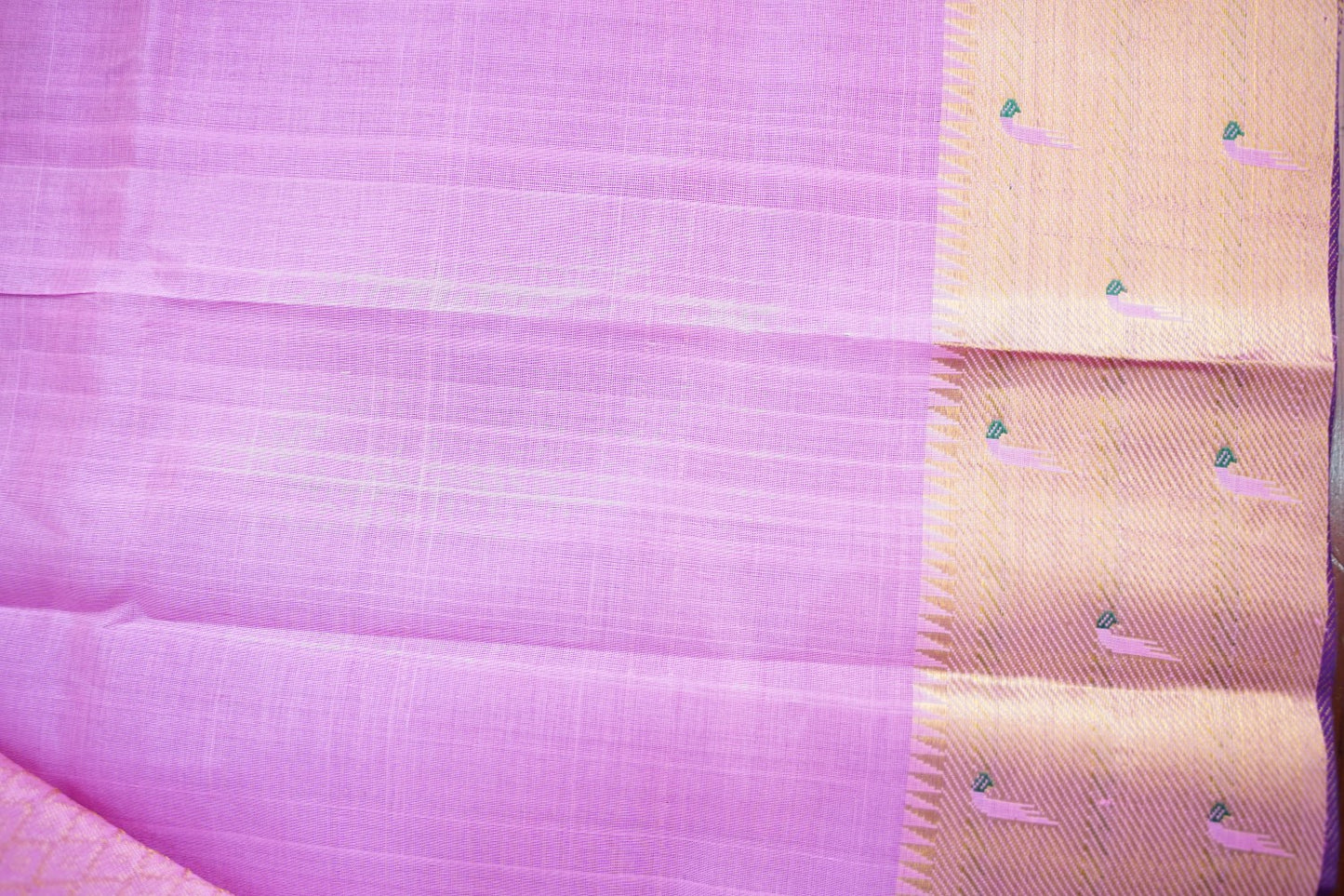 Kanchi Handloom Silk Cotton Saree PC15061