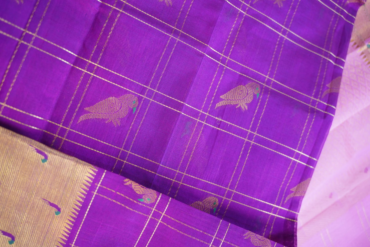 Kanchi Handloom Silk Cotton Saree PC15061