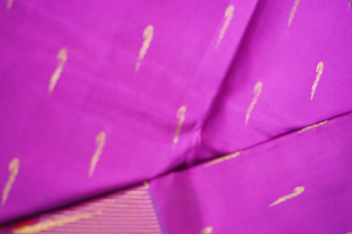 Kanchi Handloom Silk Cotton Saree PC14791