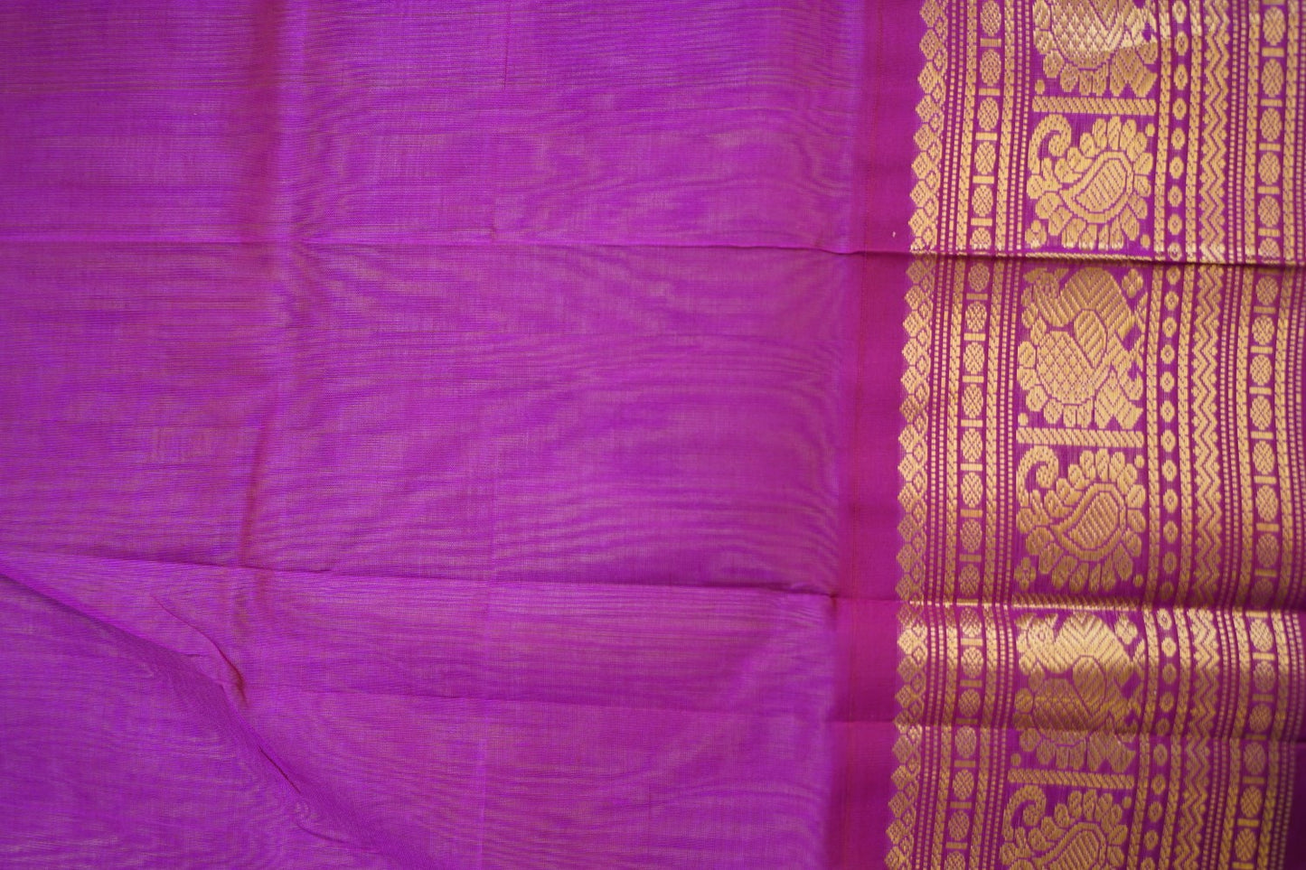 Kanchi Handloom Silk Cotton Saree PC15206