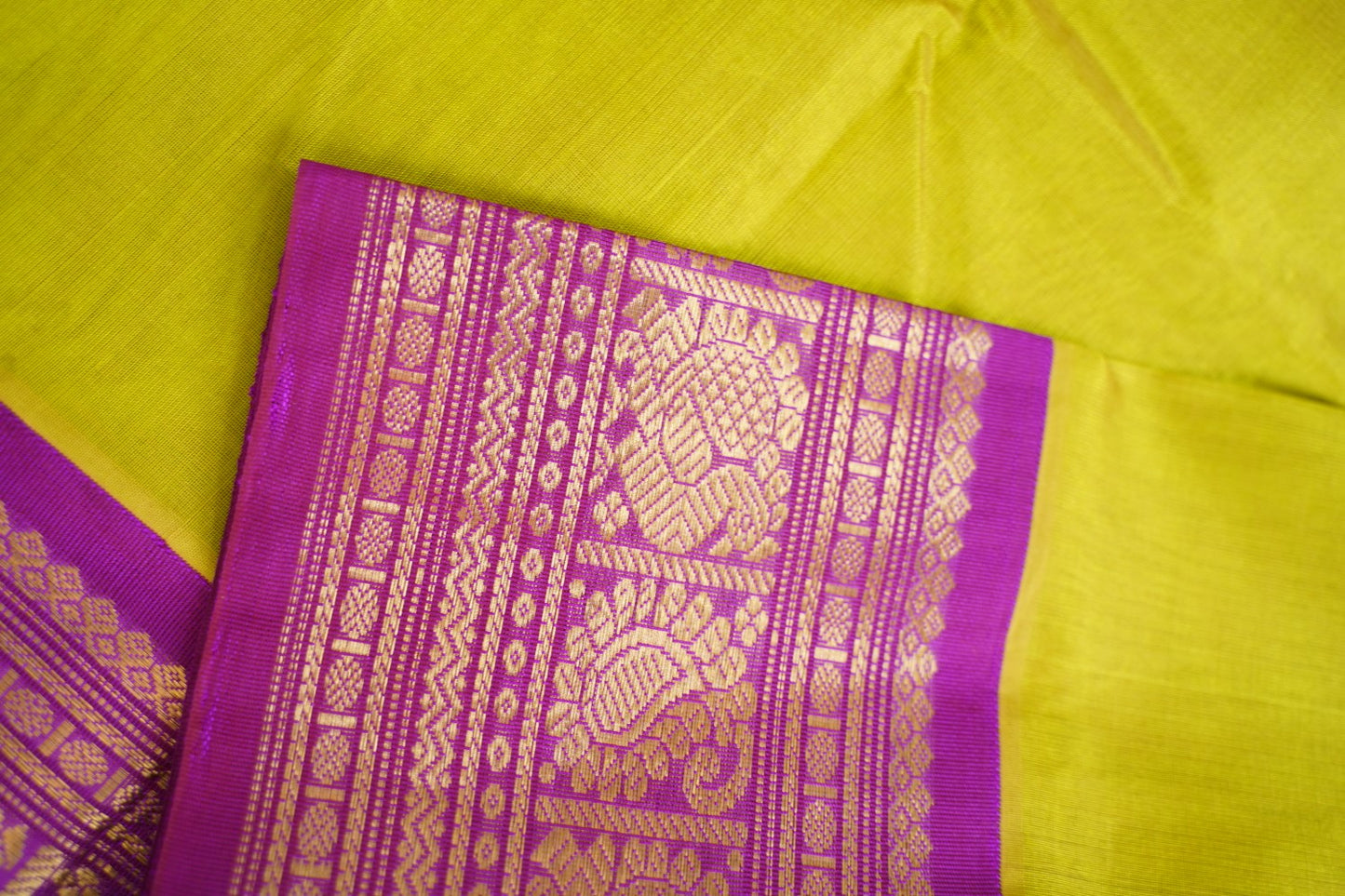 Kanchi Handloom Silk Cotton Saree PC15206