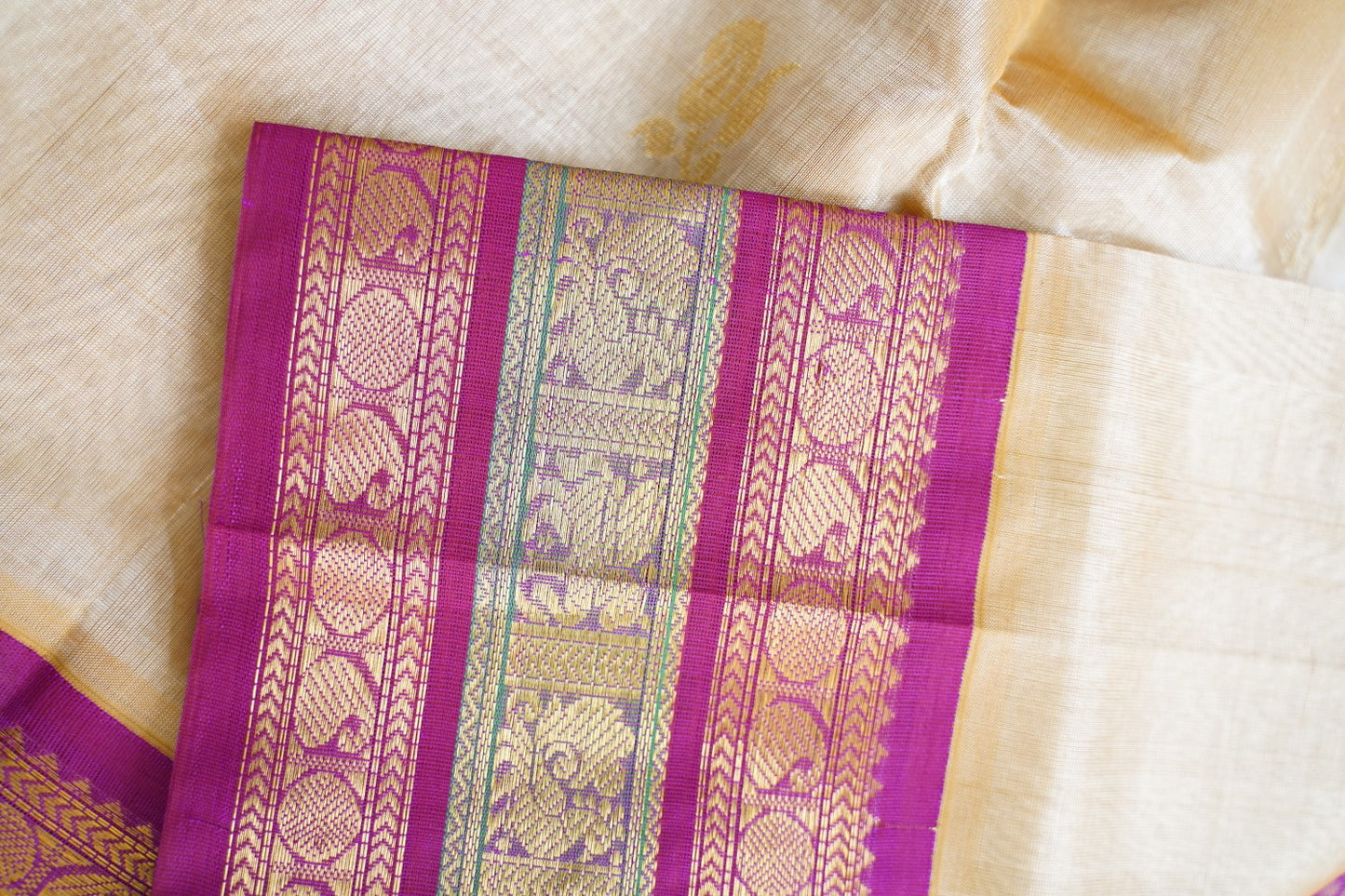 Kanchi Handloom Silk Cotton Saree PC15197