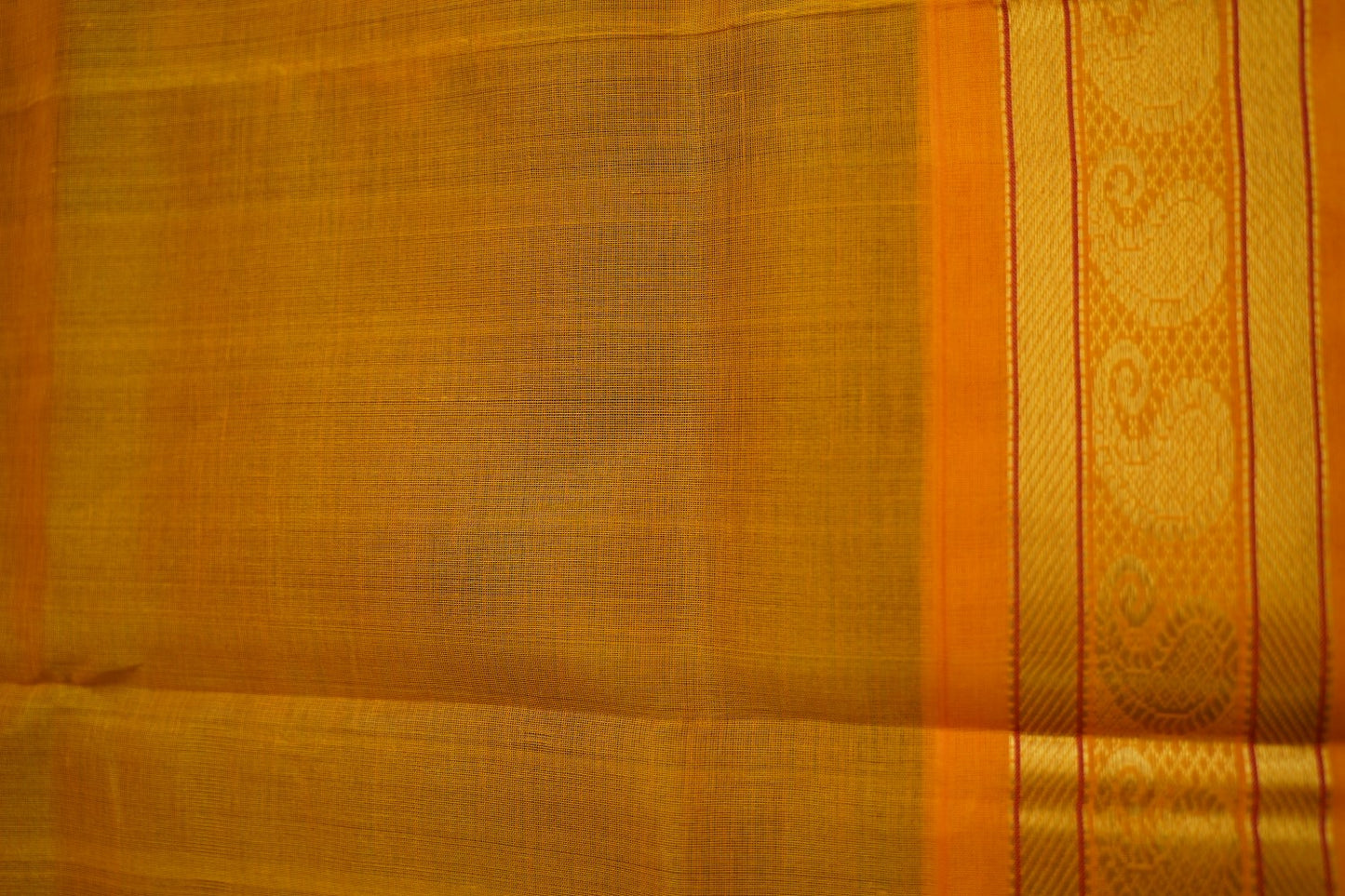 Kanchi Handloom Silk Cotton Saree PC15275