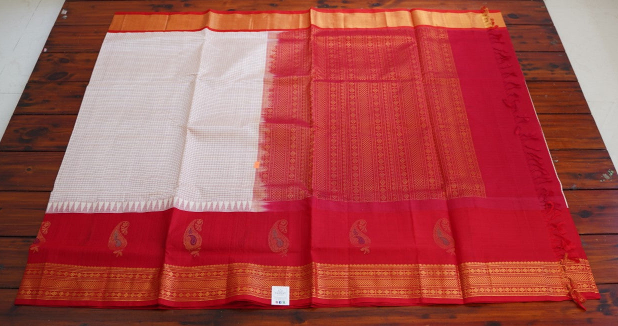 Kanchi Handloom Silk Cotton Saree PC15260