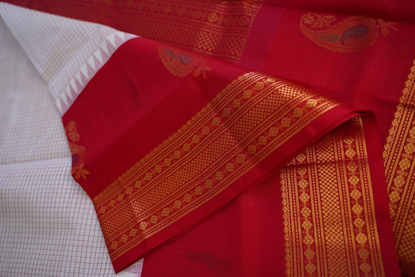Kanchi Handloom Silk Cotton Saree PC15260