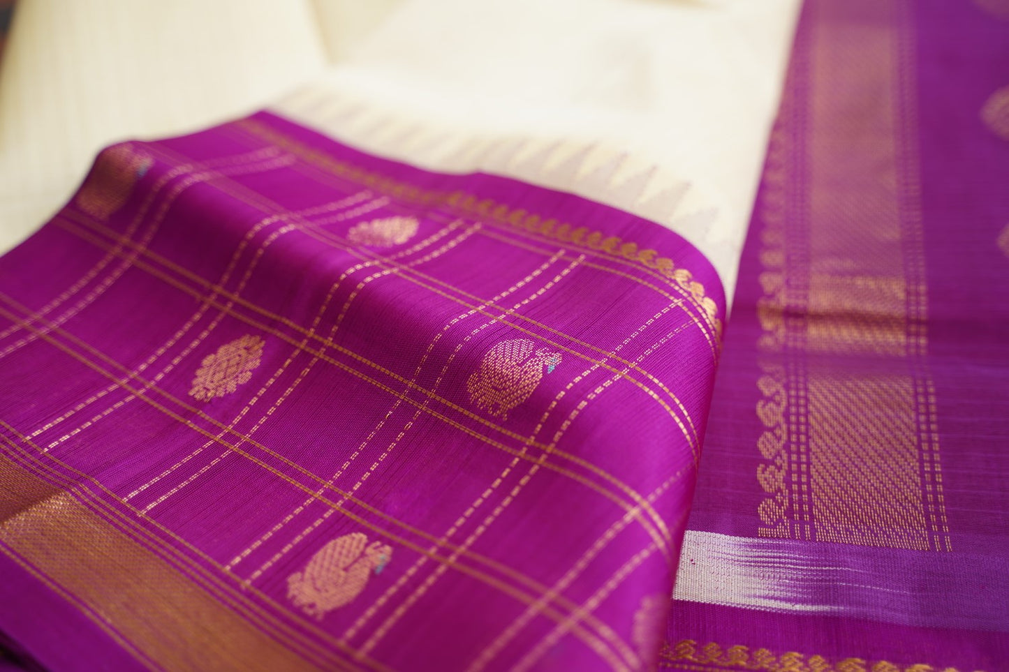 Kanchi Handloom Silk Cotton Saree PC15391