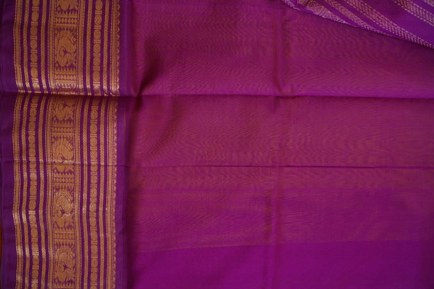 Kanchi Handloom Silk Cotton Saree PC15409