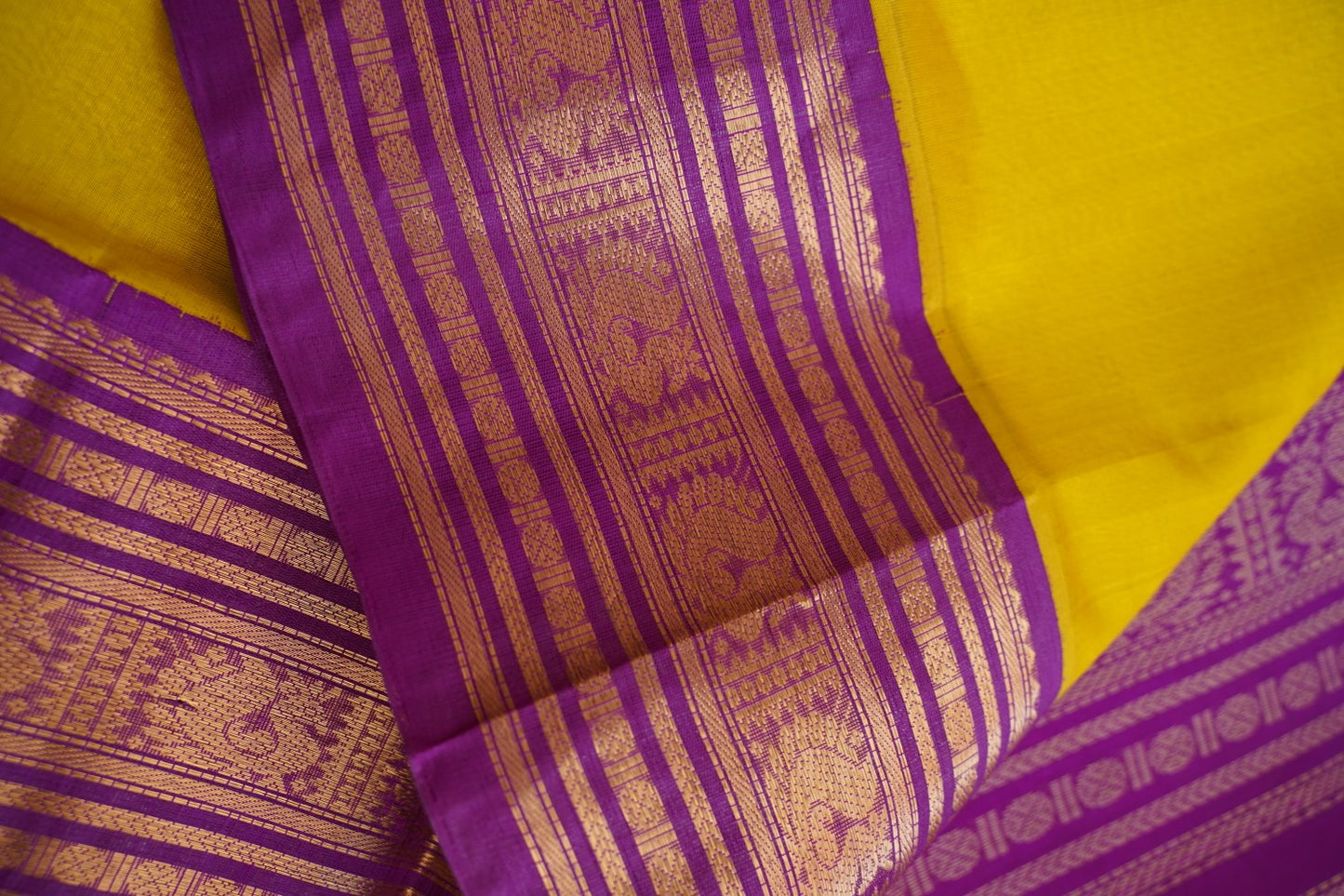 Kanchi Handloom Silk Cotton Saree PC15409