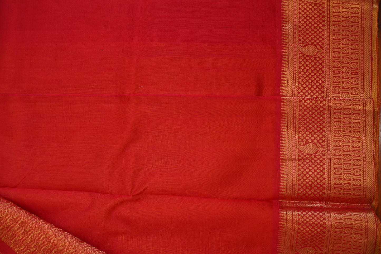 Kanchi Handloom Silk Cotton Saree PC15406