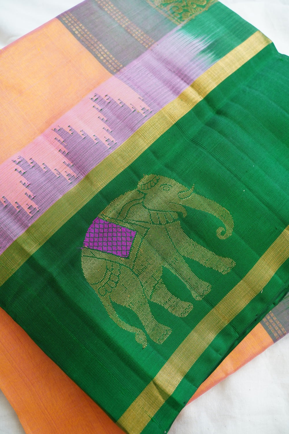 Kanchi Handloom Silk Cotton Saree PC15449
