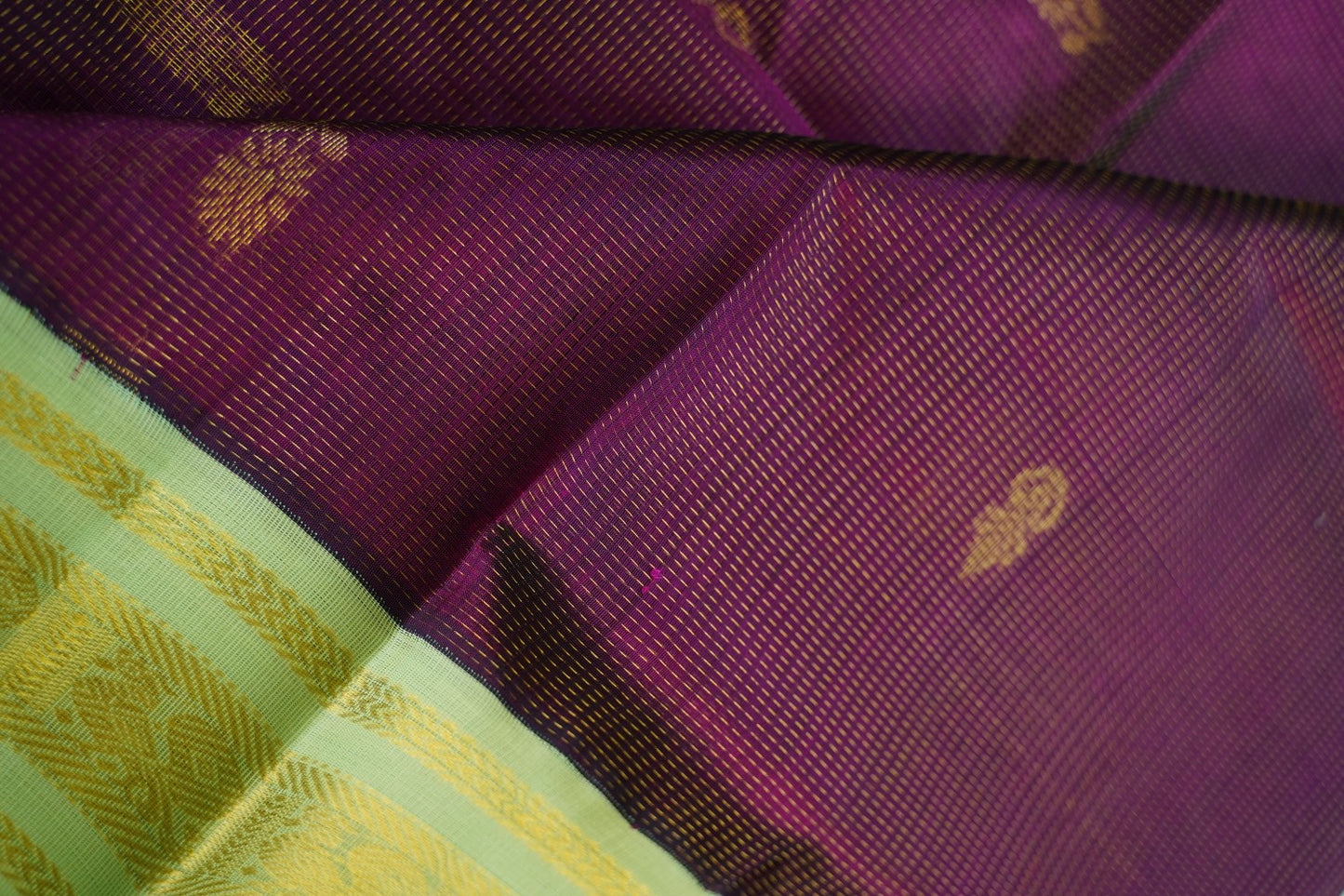 Kanchi Handloom Silk Cotton Saree 16766