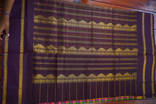 Kanchi Handloom Silk Cotton Saree 16748