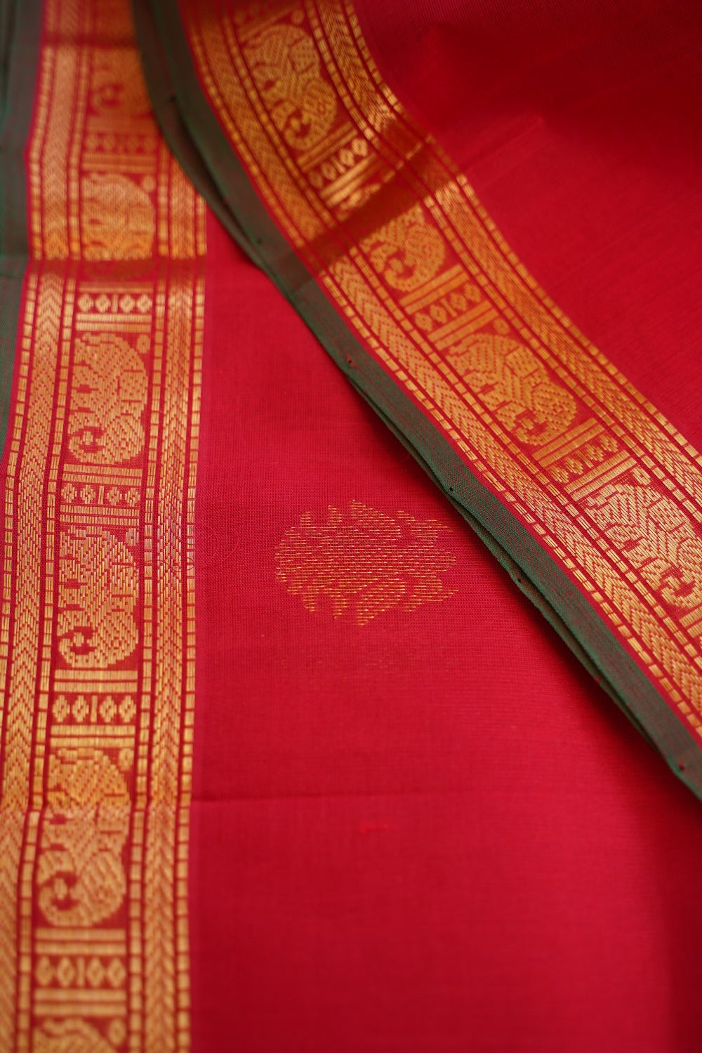 Kanchi Handloom Silk Cotton Saree PC16798