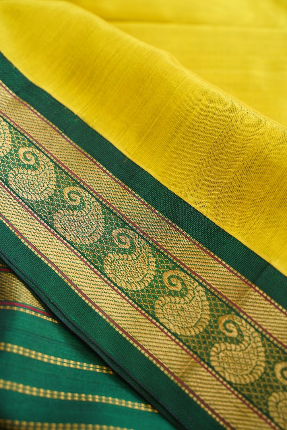 Kanchi Handloom Silk Cotton Saree PC16792
