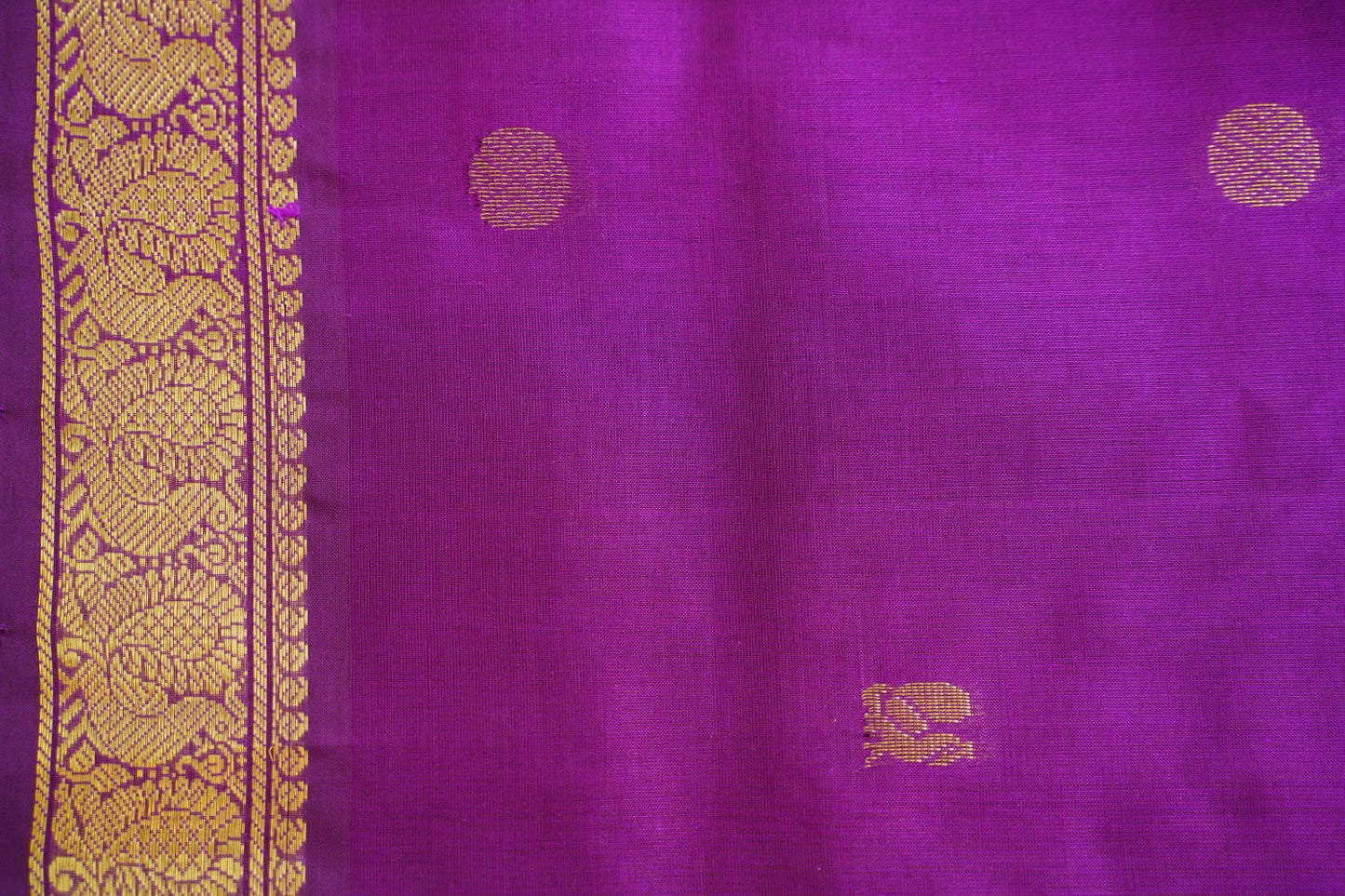Kanchi Handloom Silk Cotton Saree PC16795