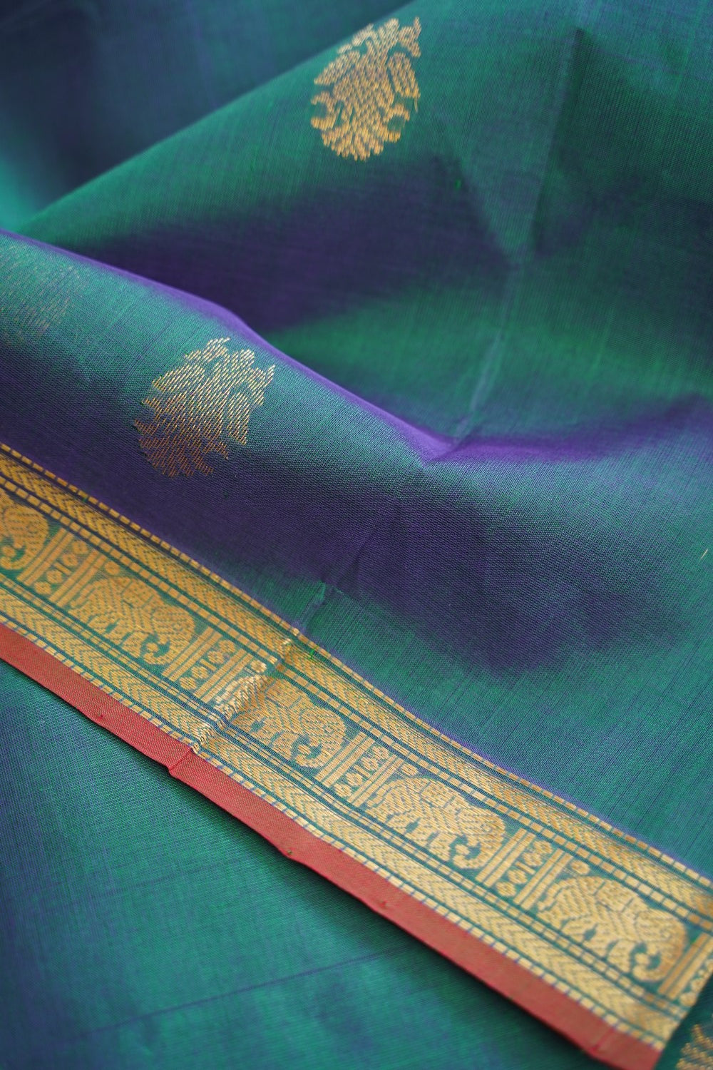 Kanchi Handloom Silk Cotton Saree PC16799