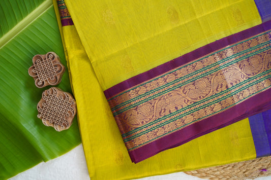 Kanchi Handloom Silk Cotton Saree PC16870