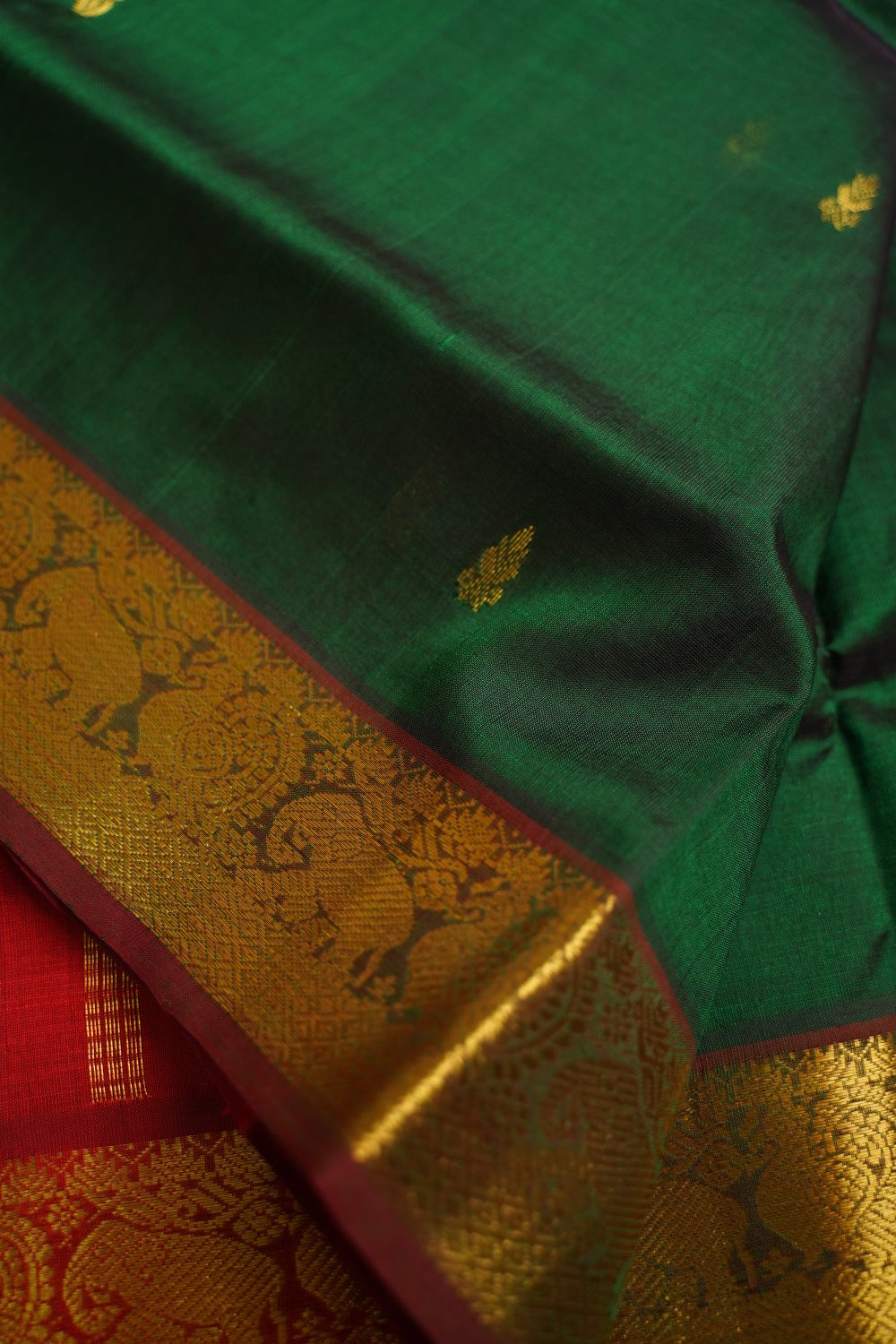 Kanchi Silk Cotton Saree Pc15664
