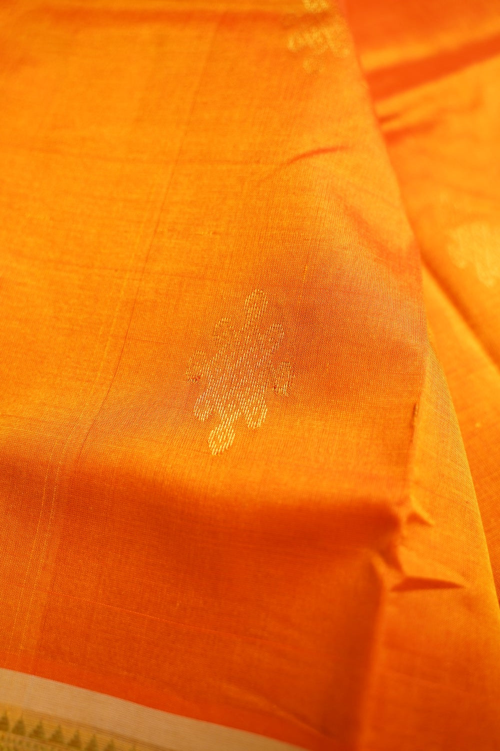 Kanchi Silk Cotton Saree Pc15666