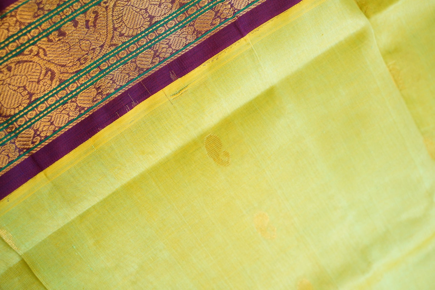 Kanchi Handloom Silk Cotton Saree PC16870