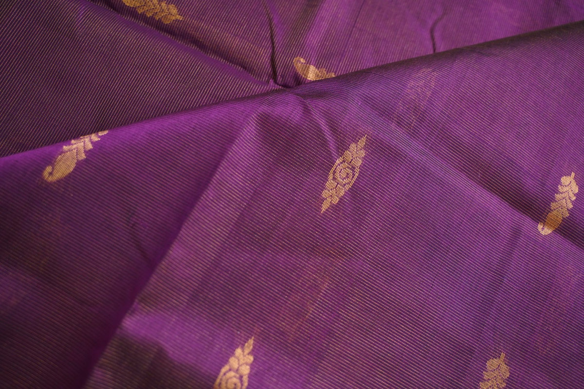 Kanchi Handloom Silk Cotton Saree PC17813