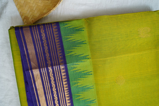 Kanchi Handloom Silk Cotton Saree PC17071