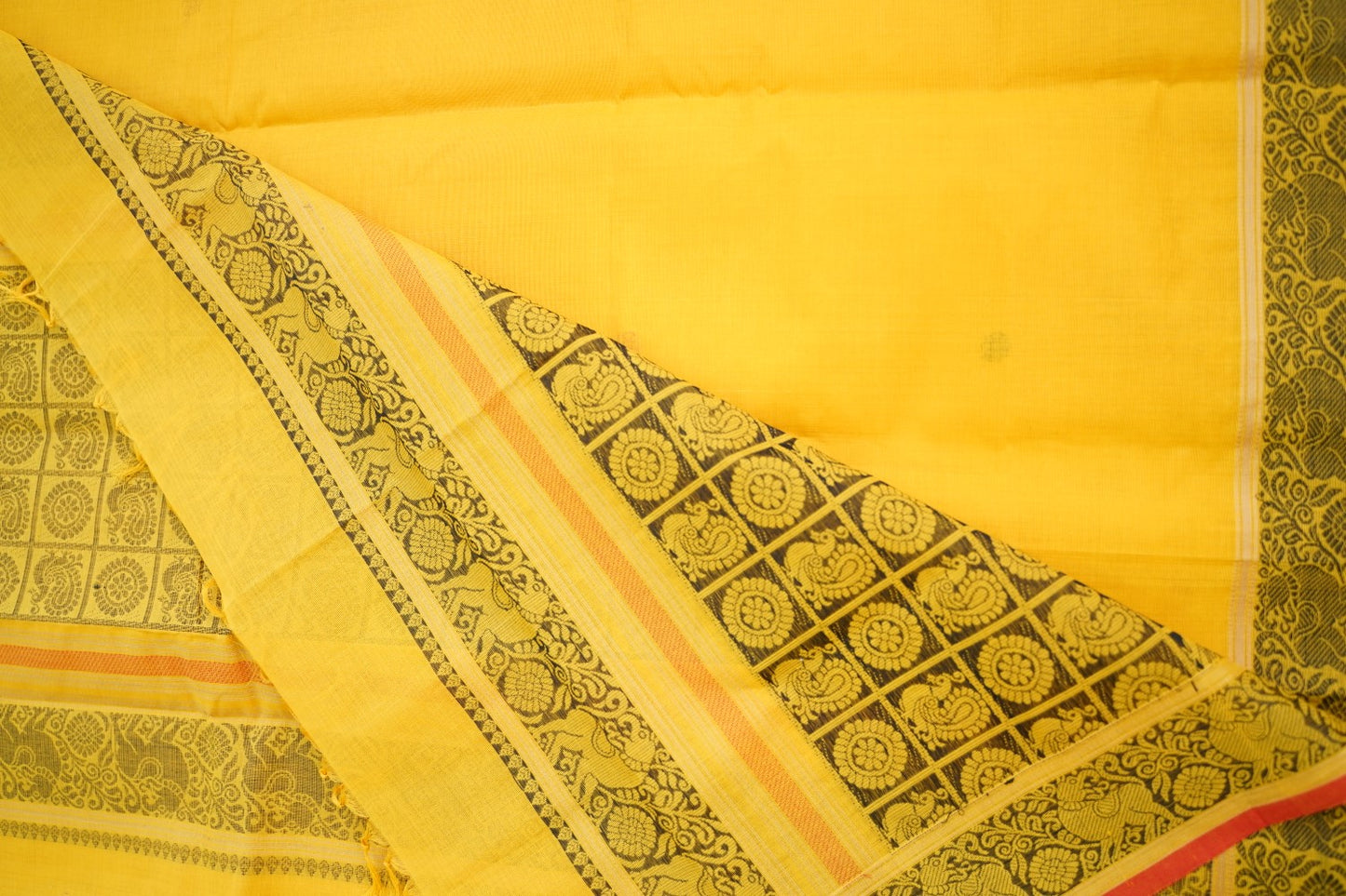 Kanchi handloom Cotton Saree PC14406