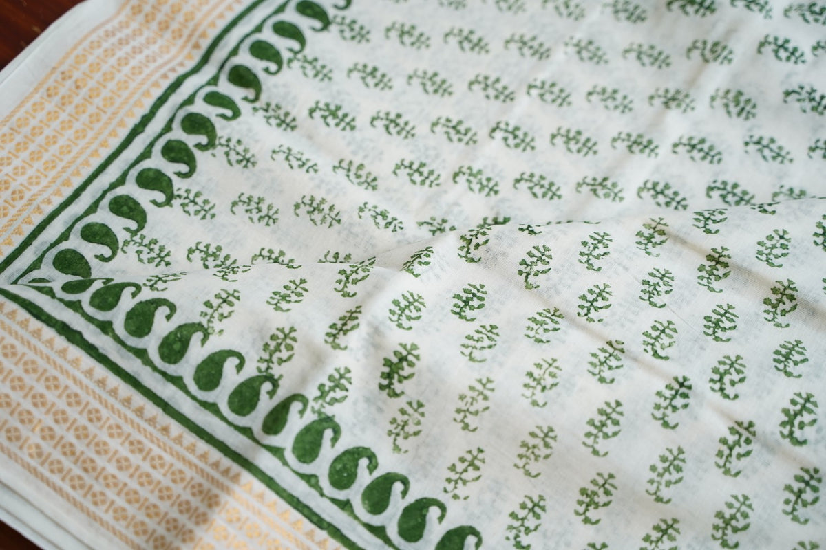 Block Printed cotton Saree PC17943