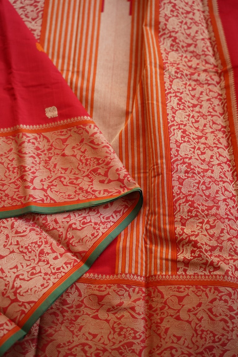 Kanchi Cotton