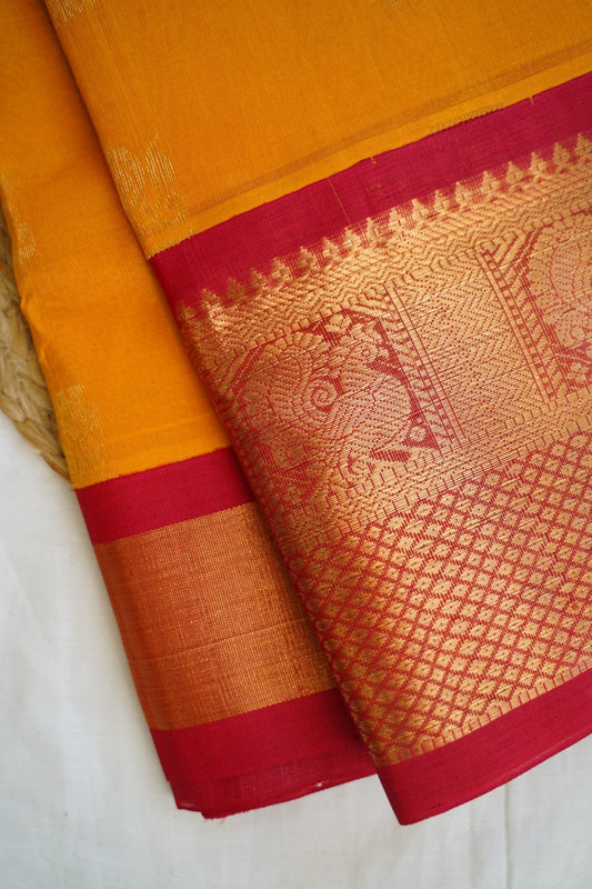 Kanchi Handloom Silk Cotton Saree PC14501