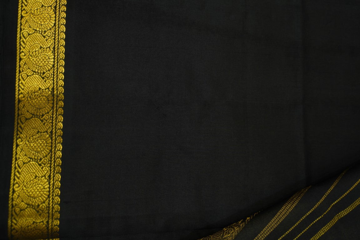 Kanchi Handloom Silk Cotton Saree PC13729